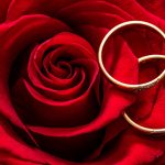 wedding-rings-2284153_1280