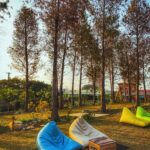 pexels-axiom-vagus-381013993-14817211